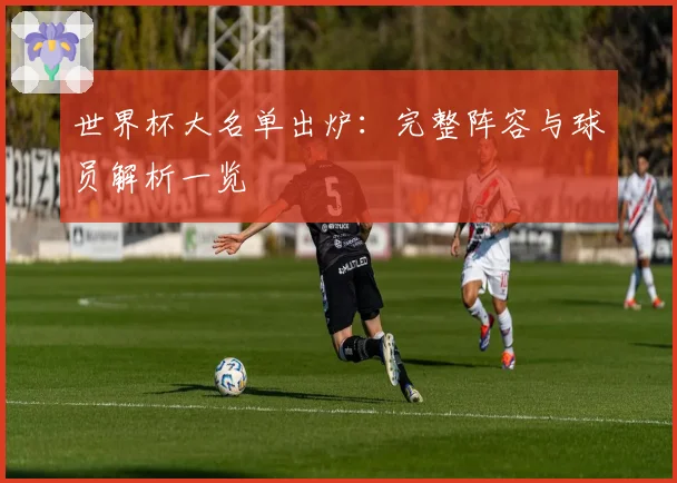世界杯大名单出炉：完整阵容与球员解析一览