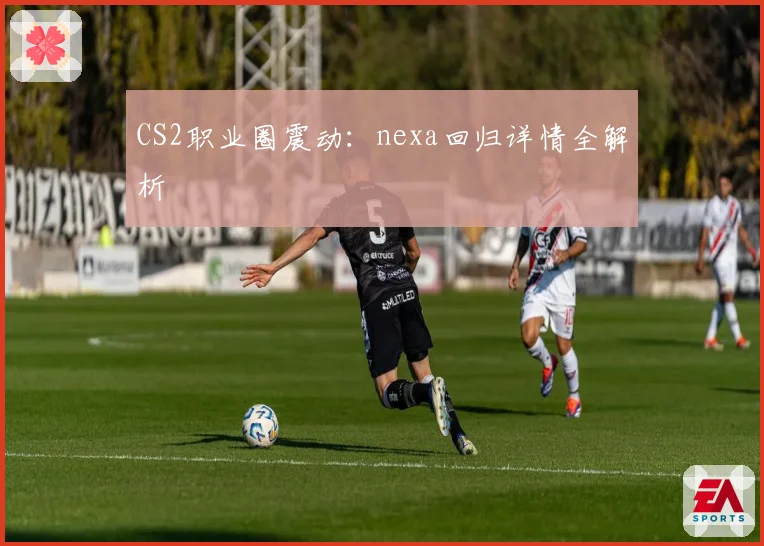 CS2职业圈震动：nexa回归详情全解析